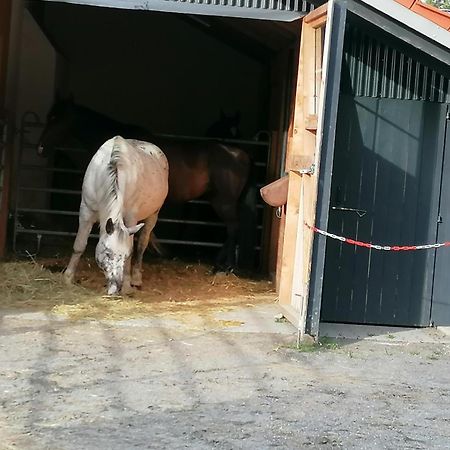 Wild Life Ranch Vila Schöfweg Exterior foto